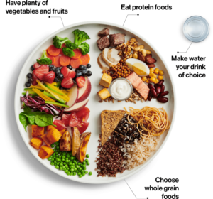 Photo of the plate recommended from the Canada Food Guide. The image states: "Have plenty of vegetables and fruits, eat protein foods, make water your drink of choice and choose whole grain foods"