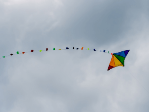 photo of a kite in the sky